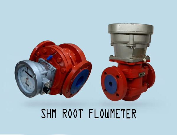 Flow Meter SHM Roots