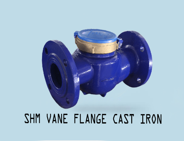 Water Meter Vane Flange Cast Iron